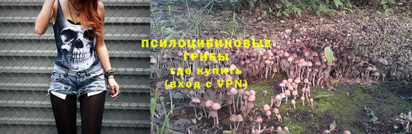 ALPHA PVP Баксан