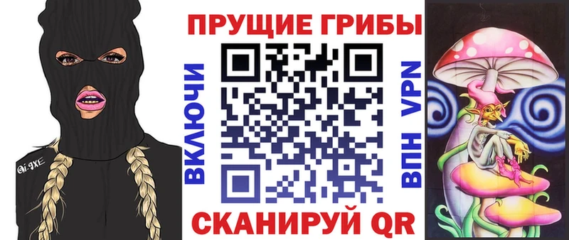 Псилоцибиновые грибы мухоморы Бежецк
