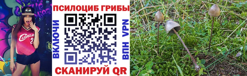 Галлюциногенные грибы мухоморы  Бежецк 