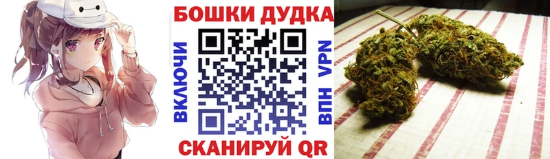 хочу Бежецк Конопля SATIVA & INDICA